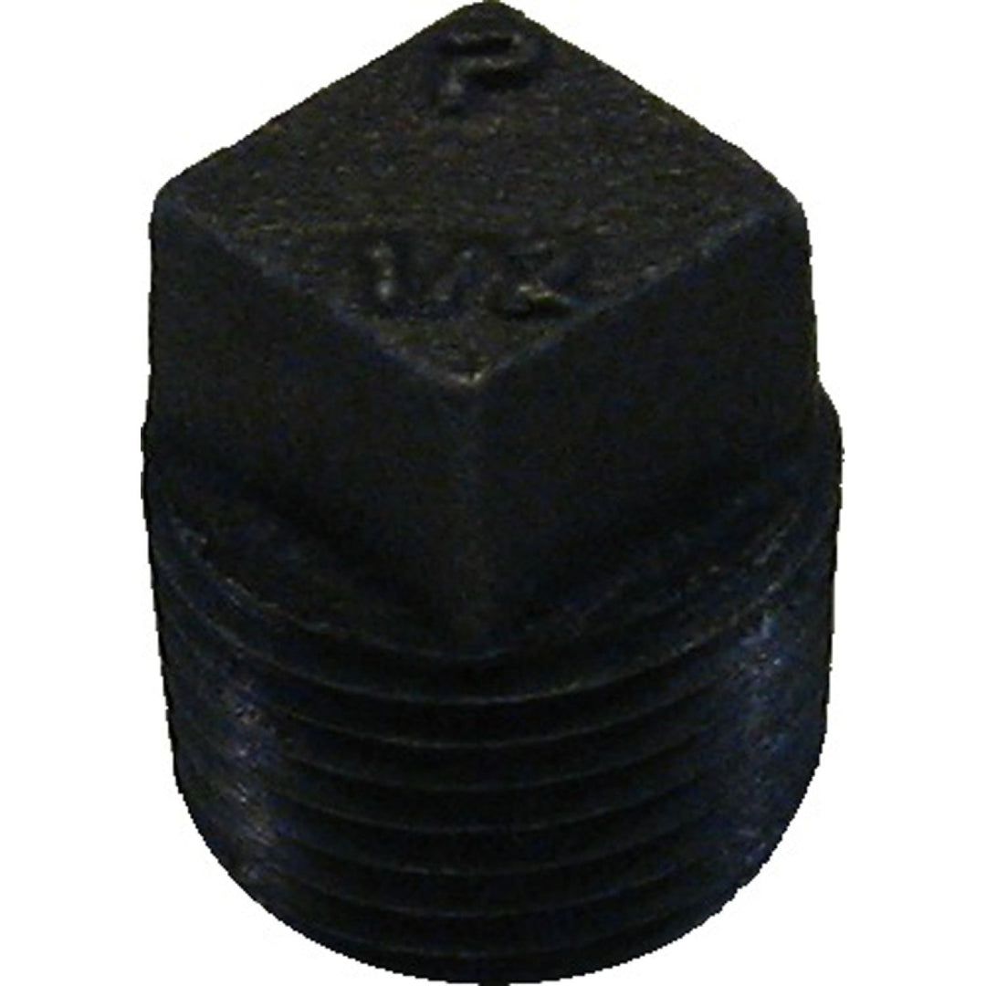 1/2" Black Iron Plug