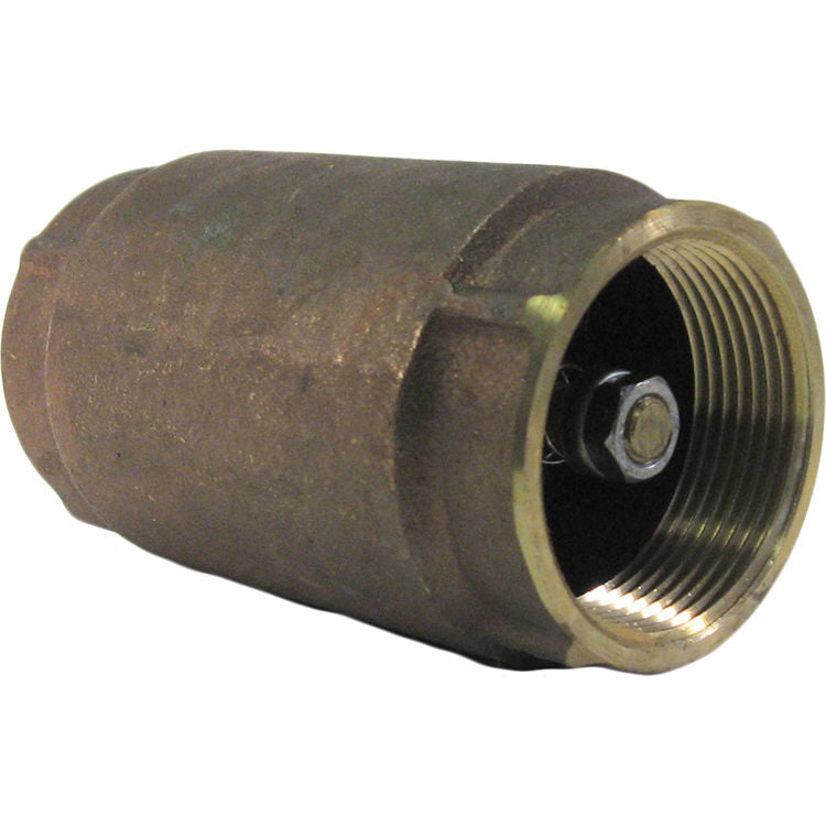 3/4" Spring Check Valve