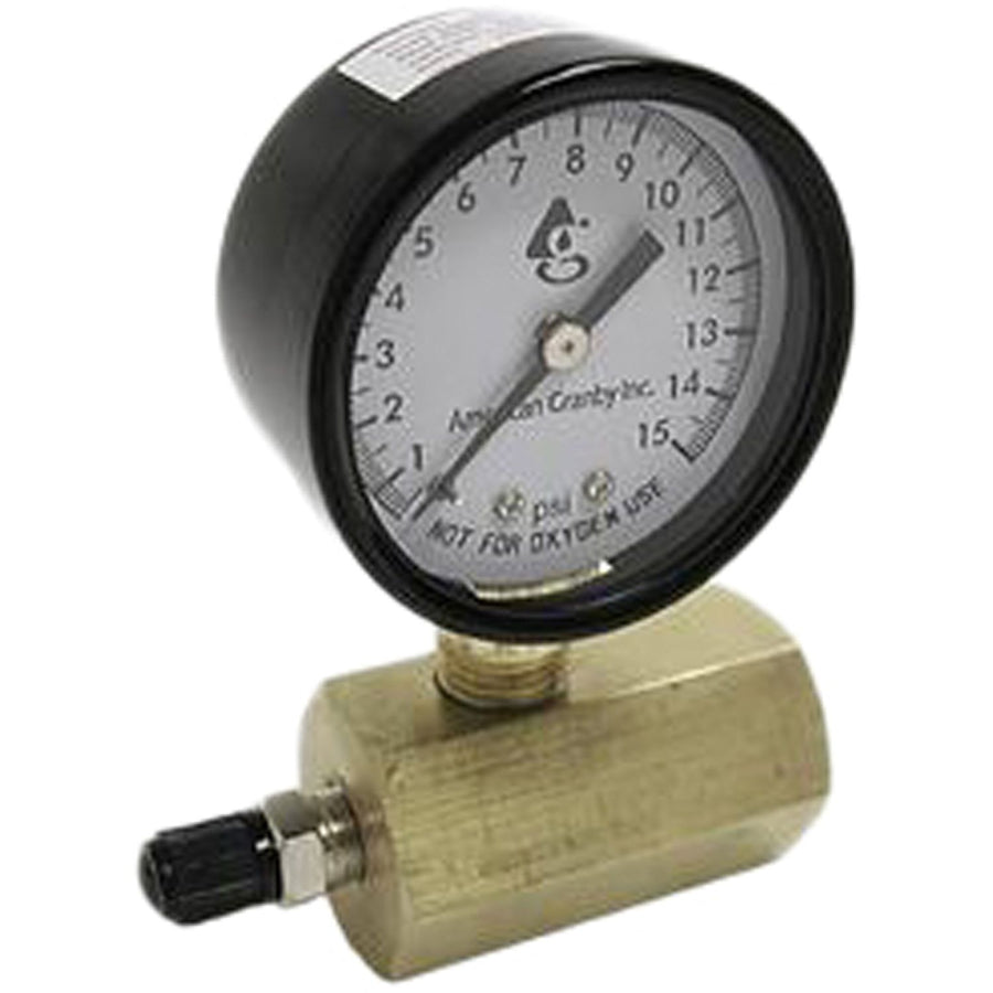 100# Air Test Gauge with 3/4" Body