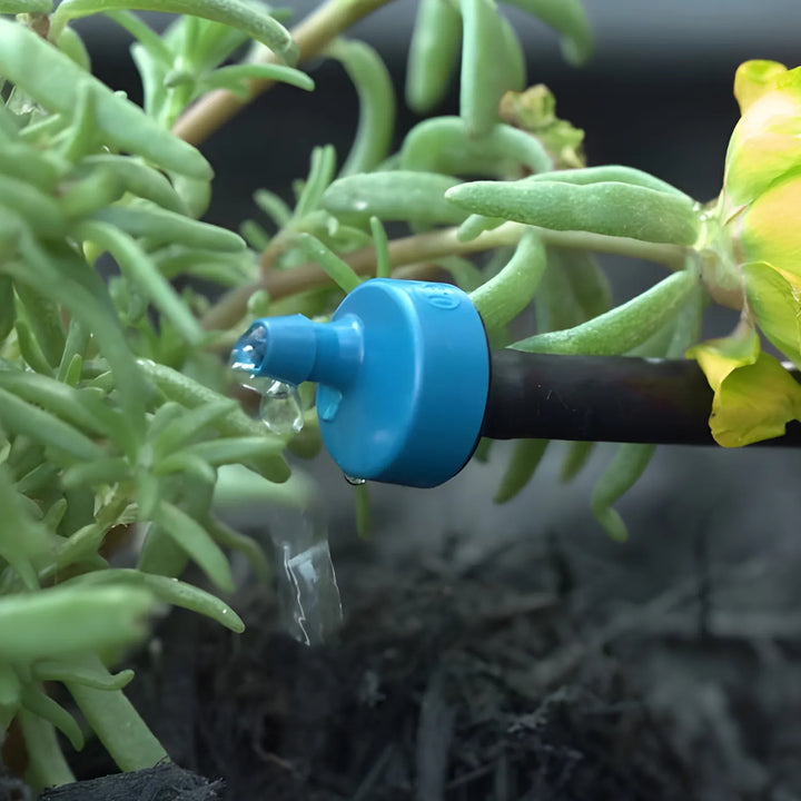 Rainbird Pressure-Compensating Xeri-Bug Emitter, Barb Inlet, Blue, 0.5 GPH - XB05PC