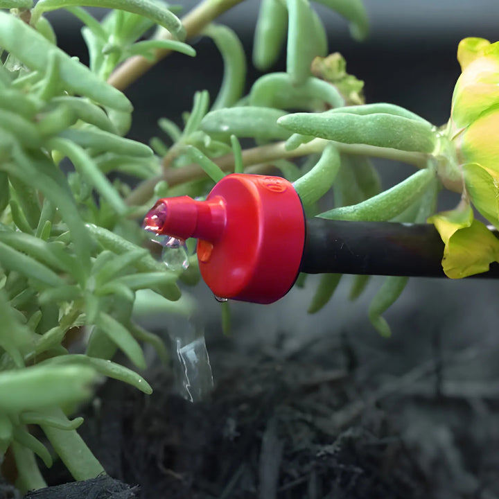 Rainbird Pressure-Compensating Xeri-Bug Emitter, Barb Inlet, Red, 2.0 GPH - XB20PC