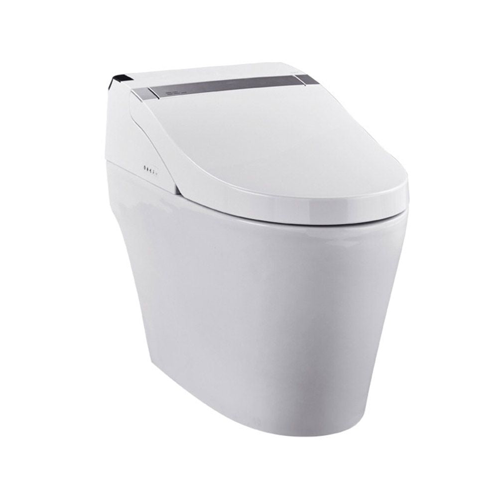 ProStock Elongated Toilet with Integrated Smart Electronic Bidet Combo, 1.0 & 1.5 GPF, White - PSBTWE1000